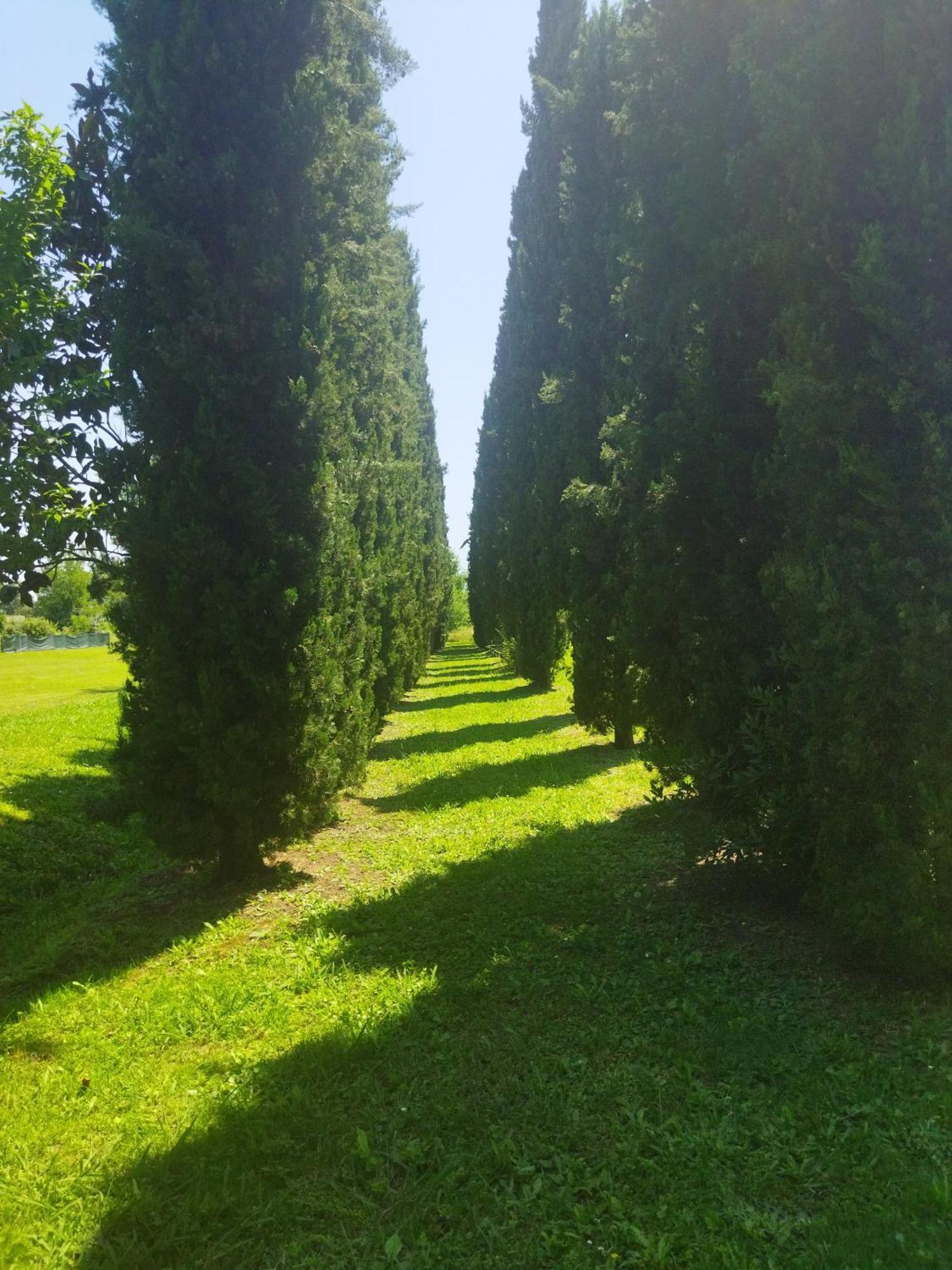 Villa Fontana Капаннорі Екстер'єр фото